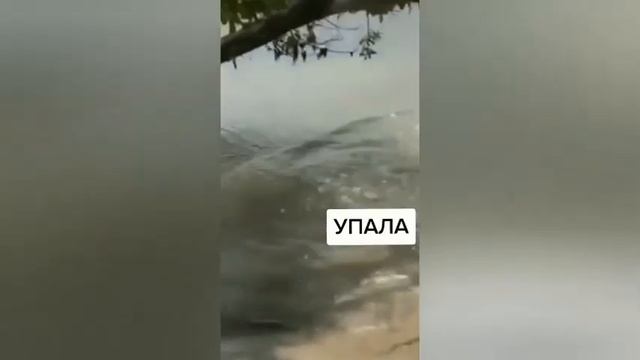 Зацепилась трусами за сучок? смотреть онлайн