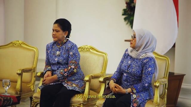 PMI DDS 2017 REV convert video online com 2 смотреть онлайн