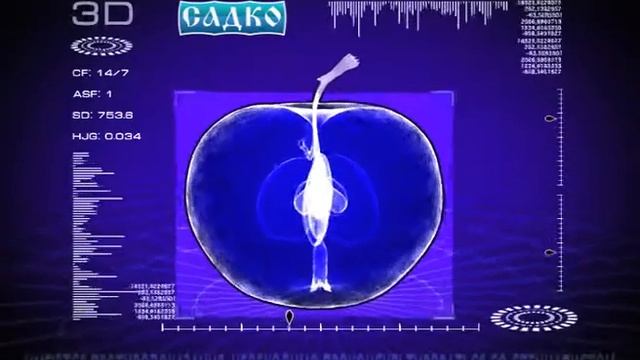 Компьютерная дентальная 3D томография