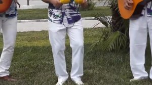 песня мексиканского коня +на русском языке Москва, 8(985)920-36-97