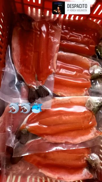 trucha al vacio смотреть онлайн