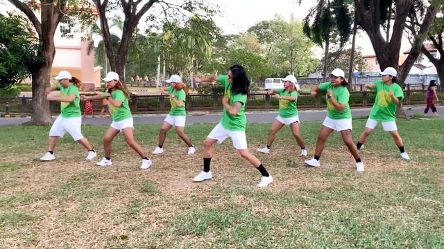 TARZAN & JANE ( Dj Gibz Remix ) - Toy-Box | Dance Fitness | Zumba смотреть онлайн