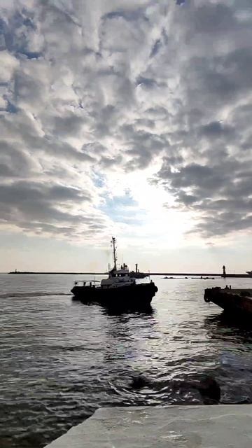 Сочи. Набережная. Весна_2025.