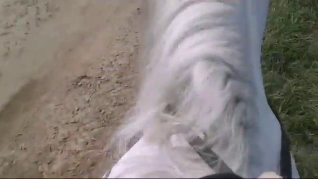 Прогулка на коне смотреть онлайн