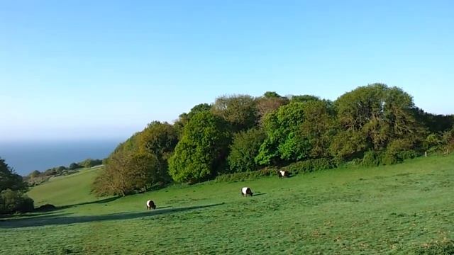 William Holman Hunt and 19th Century Artists in Hastings смотреть онлайн
