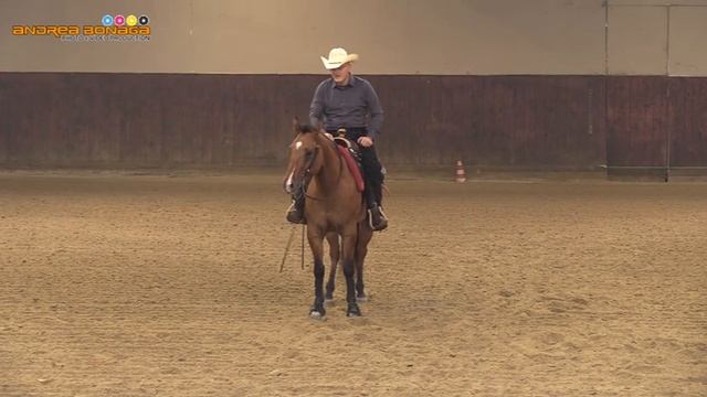 6 tappa TRHA 2016 - FERRARI STEFANO su HEARTQUAKE WHIZ di AZ AGR GI ELLE con score 66 смотреть онлайн
