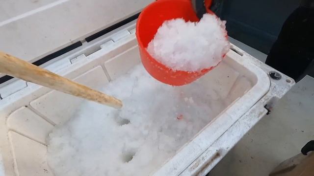 和老表進軍大深藍，開張就喜獲紅頭鶯歌，滿載漁獲而歸！【探海漁人】 смотреть онлайн