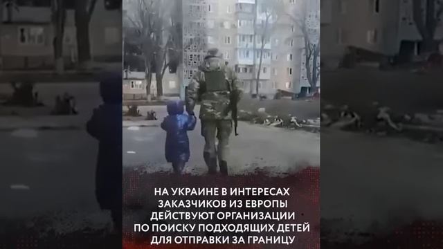 Жена гниды-зелибобы зарабатывает на продаже украинских детей! смотреть онлайн