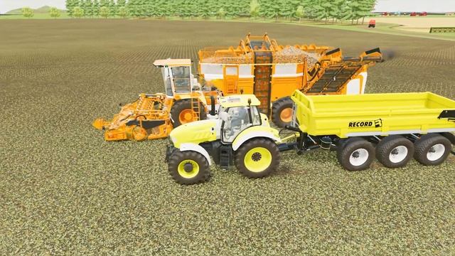HARVESTING SUGAR BEET AND SLURRY SPREADING WITH LAMBORGHINI TRACTORS - Farming Simulator 22 смотреть онлайн