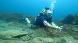 дайвинг в Архипо-Осиповке