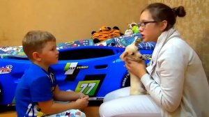 Игорь и Саша Самые ИНТЕРЕСНЫЕ ВИДЕО ДЛЯ ДЕТЕЙ про ЩЕНЯТ Игорь и Саша ИГРАЮТ с ПИТОМЦАМИ