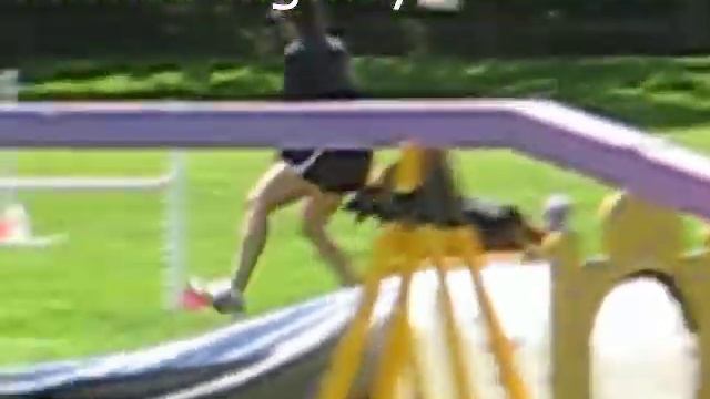 German Shepherd Minka's First Agility Trial смотреть онлайн