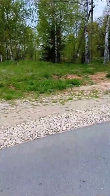 В другую деревню! #shorts