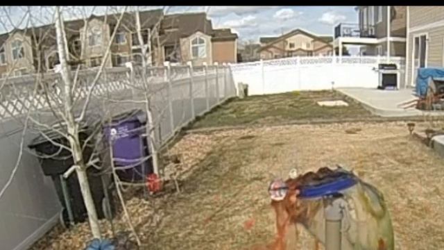 3 Darts 3 Water Balloons 3 Color Dyes Slow Motion смотреть онлайн