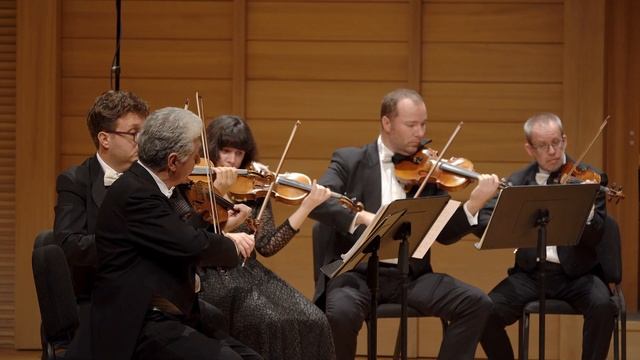 Johannes Brahms: Symphony in F major, no. 3, Op. 90, III. movement, Poco allegretto смотреть онлайн