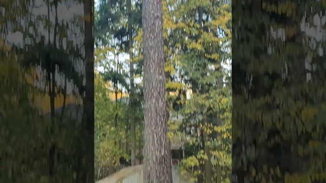 Charming Cottage Charms