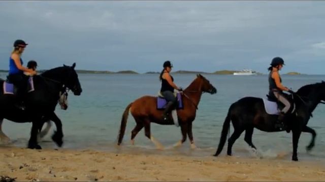 Horse Riding in The Isles of Scilly смотреть онлайн