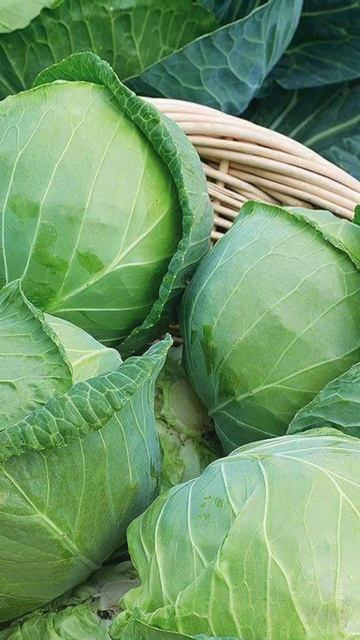 ПОСТОЯННО ЕСТЬ И ХУДЕТЬ?!