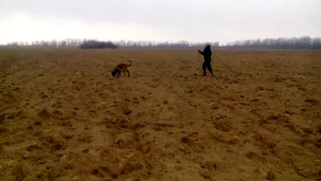 След Мак 8.11.2015 смотреть онлайн