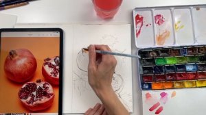 Как нарисовать скетч граната акварелью