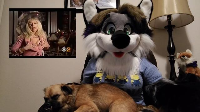 04 LA Channel 2 News: Fur Fetish | Furries in the Media смотреть онлайн