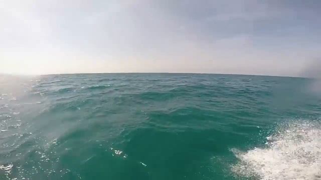 WAR DACHSHUNDS GOPRO HERO3+ смотреть онлайн