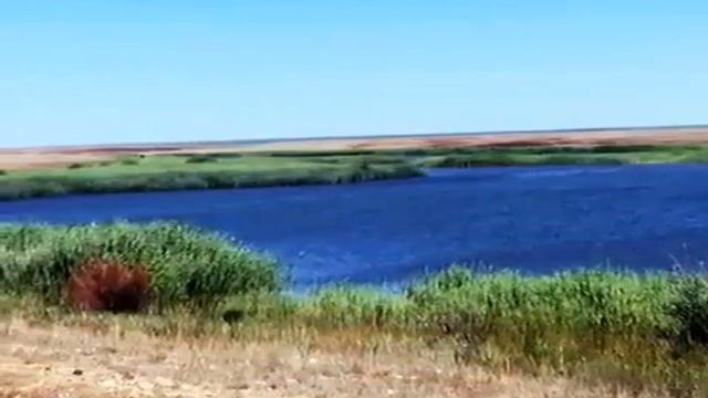 Наш ТУРГАЙ смотреть онлайн