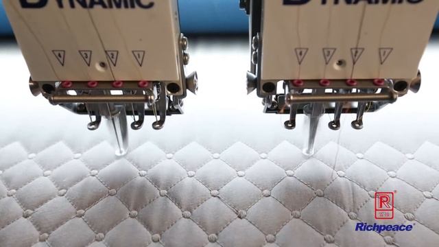 Вышивко-стегальная машина стегаете покрывало Richpeace