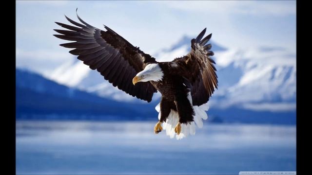 Eagles Cry смотреть онлайн
