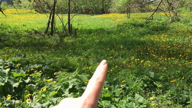 Как девочки ходили за водичкой на колодец смотреть онлайн