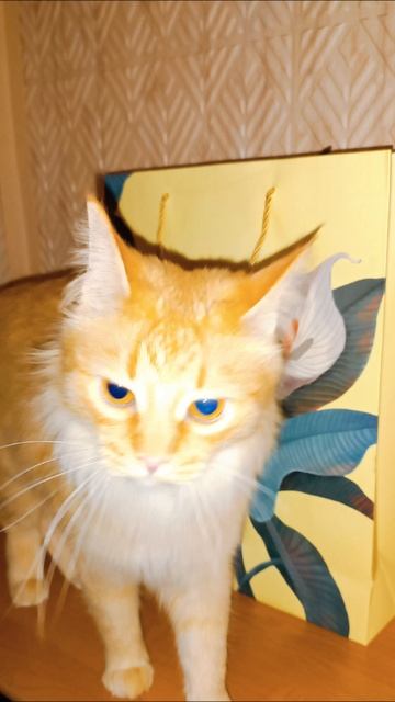 Соня 😻🌞🌷💕