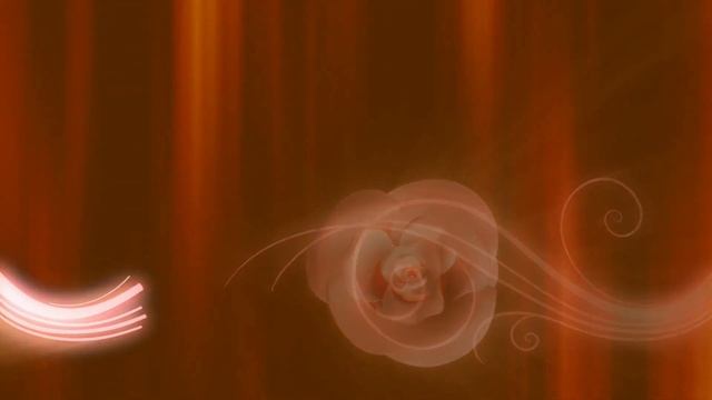 Pink Roses Abstract Full HD Live Wallpaper 1920x1080 смотреть онлайн