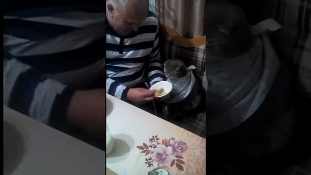 Киска ест суп !!!