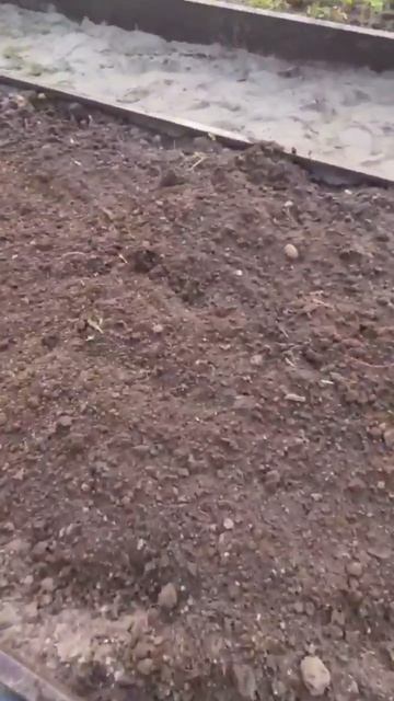 Подготавливаю грядки к следующим посадкам🌱🌱🌱 смотреть онлайн