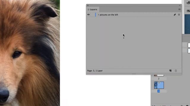 The Dog Breeds interactive PDF document part 08 Learning Adobe InDesign by example - PAGE LAYOUT смотреть онлайн