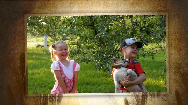 Росте черешня А.Горчинського смотреть онлайн