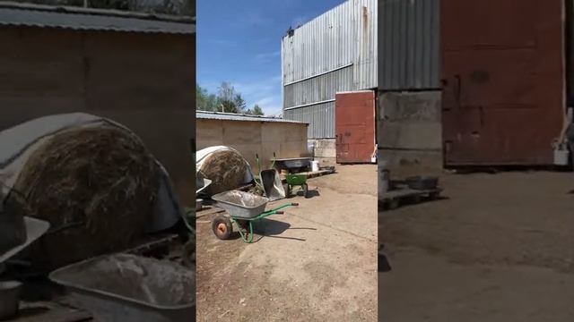 Поездка волонтеров в приют