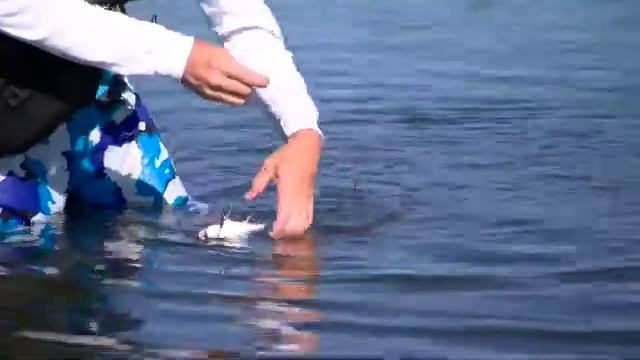 Fishing Edge S04E09 Tips Xrap Lure смотреть онлайн