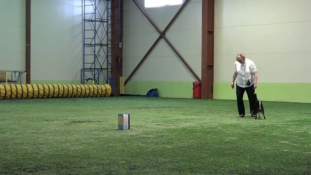 Начальная школа Ширяева Мария и Мейси смотреть онлайн