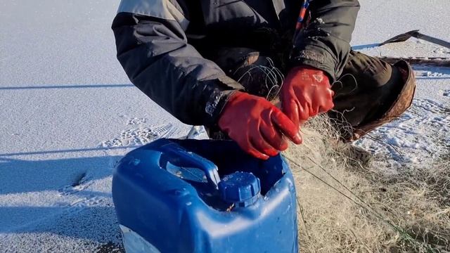 Карас рвёт сеть и уходит за горизонт красиво💯 смотреть онлайн