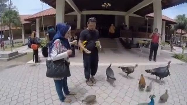 GoPro Hero 4 | Sibu Island Resort 2015 | Arrival (Part 2)