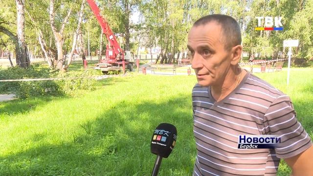 Вырубка аварийных деревьев отдельно, выкорчевка – отдельно