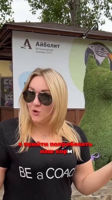 Поздравили нашу любую клинику «Айболит» #кормдлясобак #кормдлякошек смотреть онлайн