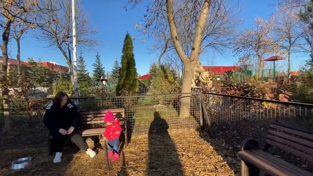 Ангелина помогает убирать вольер тигрят ! смотреть онлайн