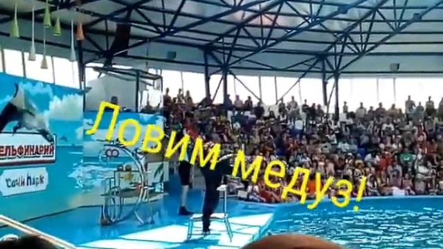 Vlog. Отдых в Сочи! смотреть онлайн