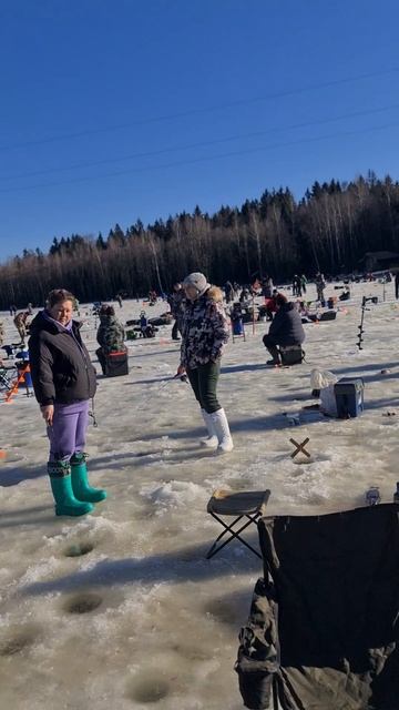 Поимки форели смотреть онлайн