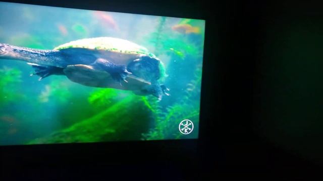 TV LG 55UM7470PSA TESTE 4K E TELA PRETA смотреть онлайн