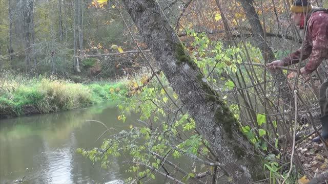 Рыбалка в октябре на орешниковые удочки с жерлицами смотреть онлайн
