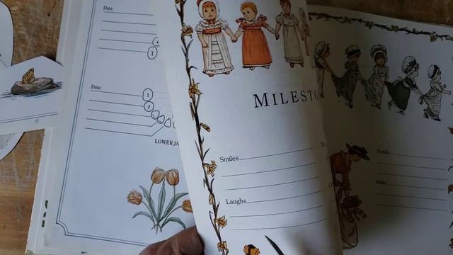 Plans for Sadie/Fritzi... смотреть онлайн