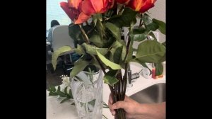 🇺🇦/🇺🇸Реанимирую розы кипятком 😳🫢Шоковая флористика 🥀🥀🌹🌹